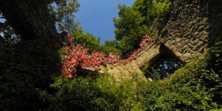 Dunster Castle