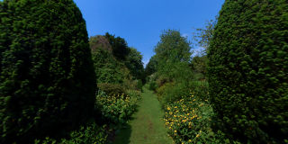 Hinton Ampner