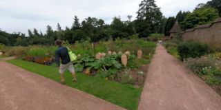 Knightshayes Court