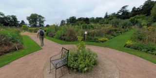 Knightshayes Court