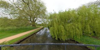 Mottisfont Abbey Gardens