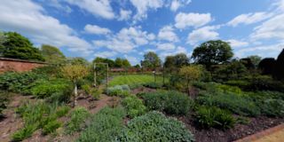 Mottisfont Abbey Gardens