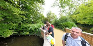 Mottisfont Abbey Gardens 2011