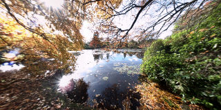 Sheffield Park