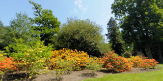 Sheffield Park Gardens