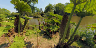 Sheffield Park Gardens