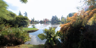 Sheffield Park