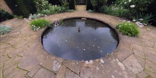 Tintinhull - Fountain Garden