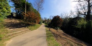 Wakehurst Place - Himalayan path