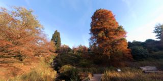 Wakehurst Place - Gardens
