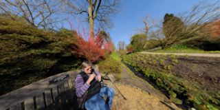 Japanese Iris Gardens