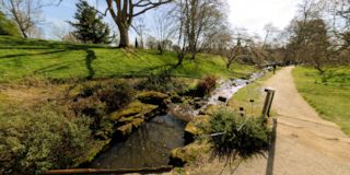 Water Gardens