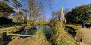 Water Gardens