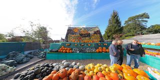 Slindon Pumpkin Shop