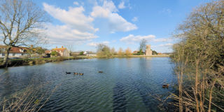Falmer Pond
