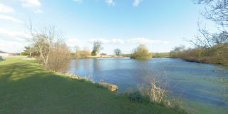 Falmer Pond