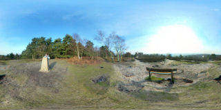 Fittleworth Common