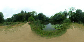 The Lost Gardens of Helligan